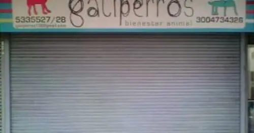 GATIPERROS BOGOTÁ GATIPERROS BOGOTÁ